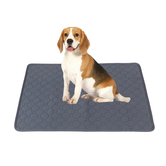 Puppy training pad absorbency demonstration